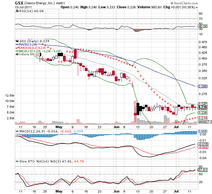 Wesleys Flugschule - US Auslese 420650