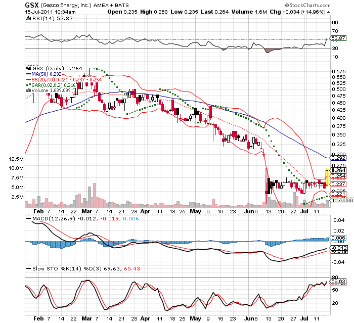 Wesleys Flugschule - US Auslese 421149