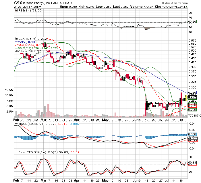 Wesleys Flugschule - US Auslese 423085