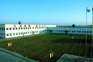 Grosse Chance WKN 931506 150116