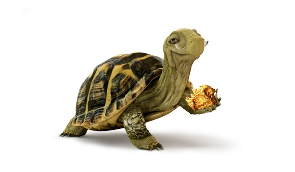 Wenn das Gold redet, dann schweigt die Welt! 219972