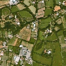  Swiss Hawk - Aussichtsreicher Finanzdienstleister 131830