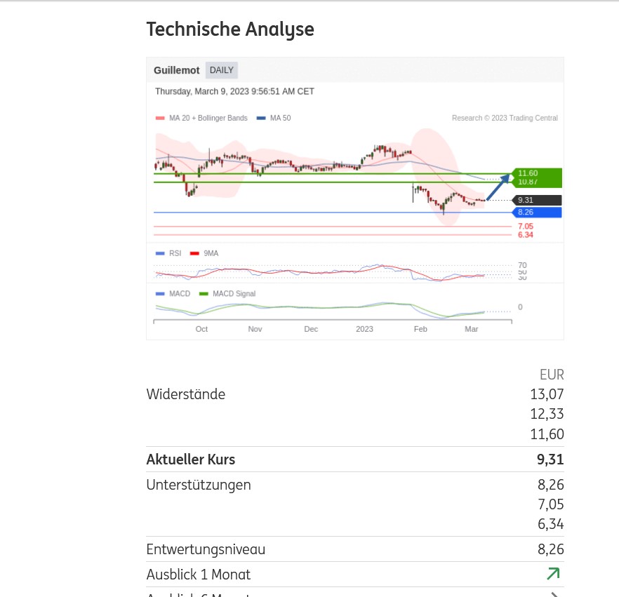 Guillemot (WKN: 917556) 1361256