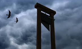 Der USA Bären-Thread 1042443