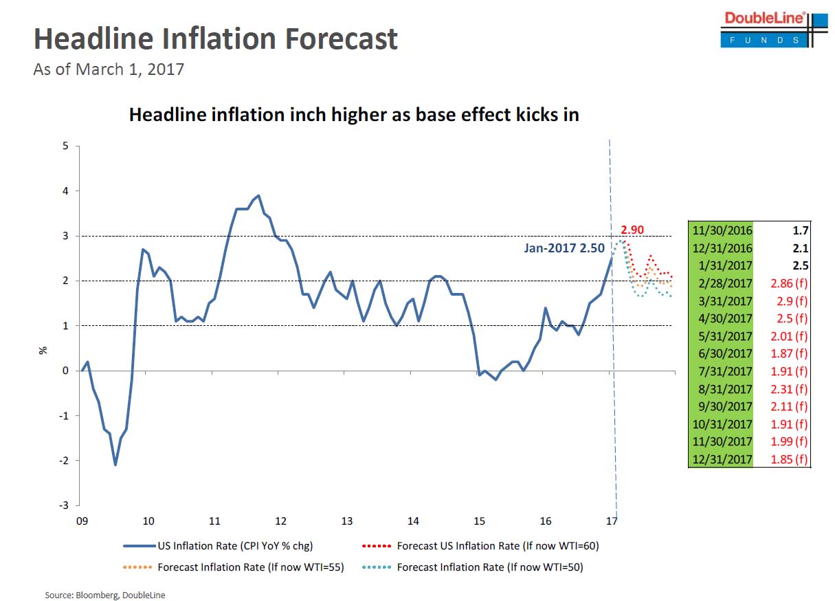 Der USA Bären-Thread 982082