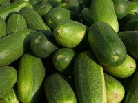 Sensationeller Fund ! 79270