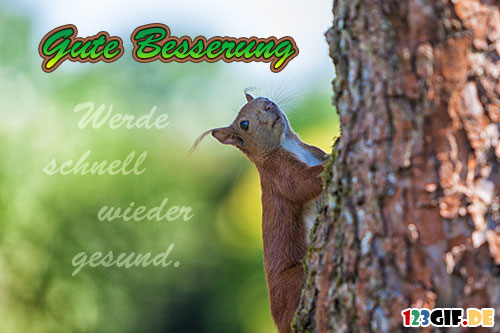 COOP News (ehemals: Wamu /WMIH) 1032223