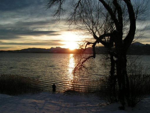 612.DAX Tipp-Spiel, Mittwoch, 05.09.07 118469