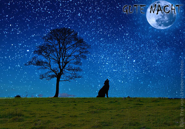 Neschen AG schreibt wieder schwarze Zahlen! 1018979