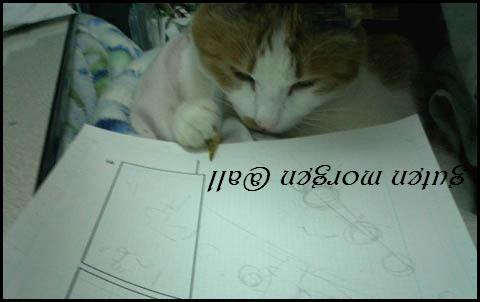 445.DAX Tipp-Spiel, Dienstag, 09.01.07 75855