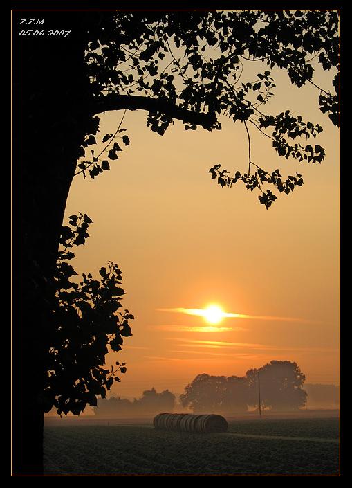 546.DAX Tipp-Spiel, Dienstag, 05.06.07 101561