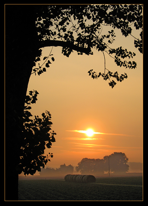 558.DAX Tipp-Spiel, Donnerstag, 21.06.07 104542