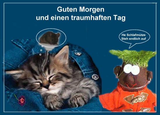 1.252.DAX Tipp-Spiel, Mittwoch, 17.03.10 307029