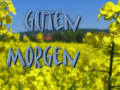 DAX-Tipps für die Urlauber Tippspiel von denkidee 67806