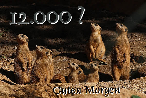 Korektur im Dax wäre mir recht (bis Ende März) 808677