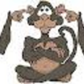 STEVIA für TABAK !! 538264