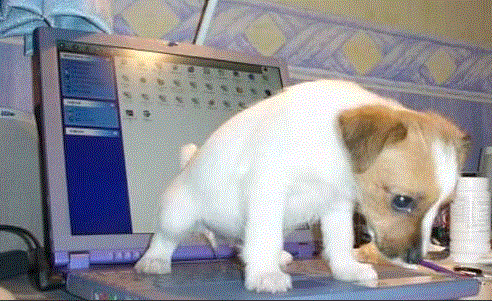 QV ultimate 2012 497301