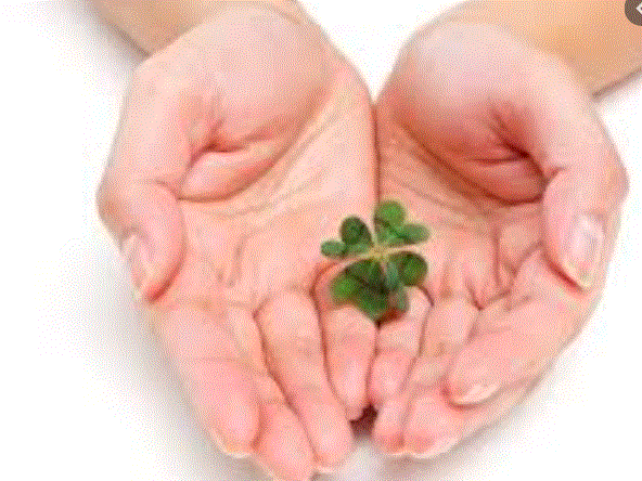 Ab hier geht ´s nach oben - Sunwin - Stevia 1138577