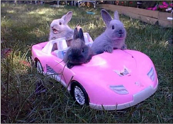 1.264.DAX Tipp-Spiel, Dienstag, 06.04.10 311248