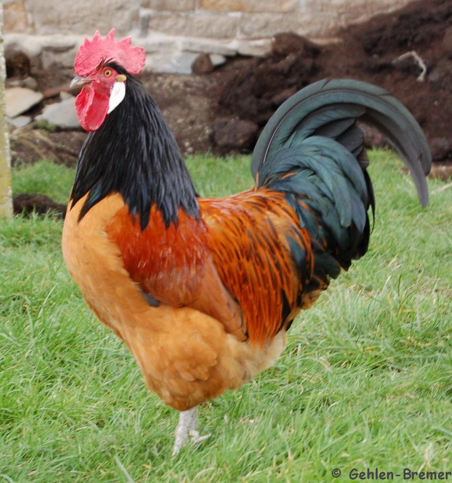 Wamu WKN 893906 News ! 407255