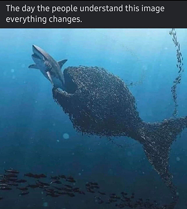 AMC Entertainment Holdings 2.0 - Todamoon?!? 1263718