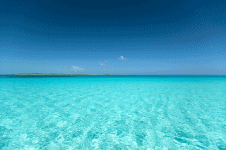 Steinhoff International Holdings N.V. 1195359