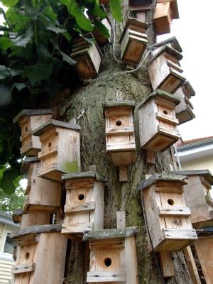 Q-Cells ,der Solarzellenriese Kursziel tip abgeben 219968