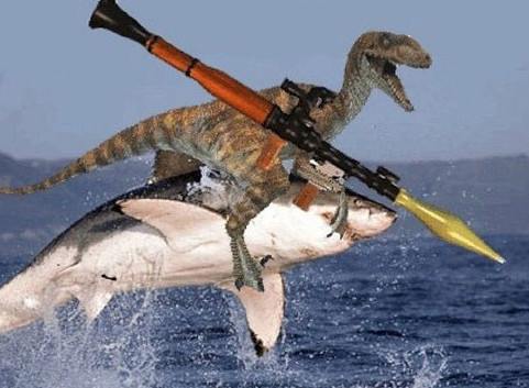 Börse ein Haifischbecken: Trade was du siehst 1228396