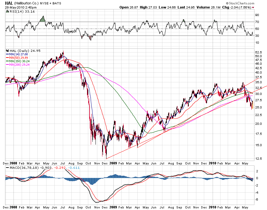 Der USA Bären-Thread 323127