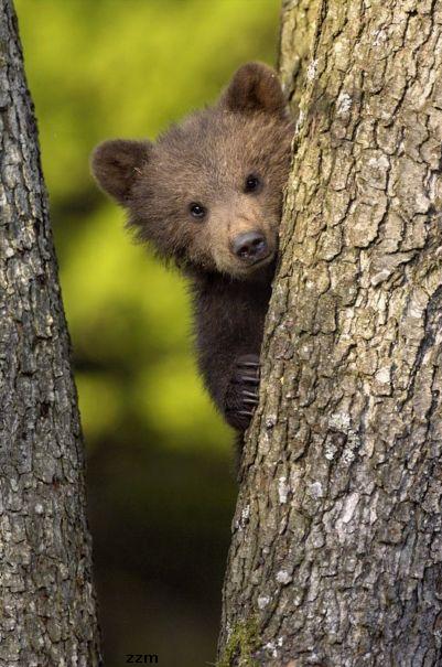 790.DAX Tipp-Spiel, Donnerstag, 22.05.08, 17:45Uhr 164587