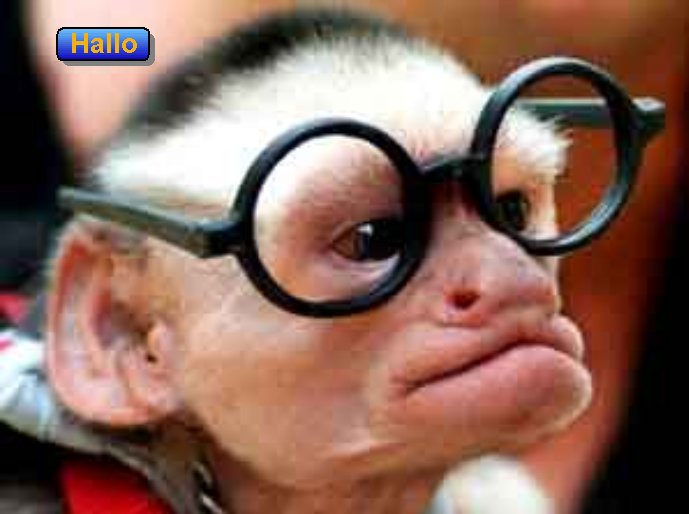 831.DAX-Tippspiel , Freitag, 18.07.2008, 17:45 175563