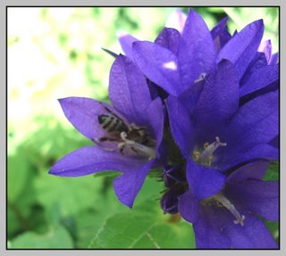 457.DAX Tipp-Spiel, Donnerstag, 25.01.07 79006