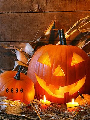 1.413.DAX Tipp-Spiel, Montag, 01.11.10 354524