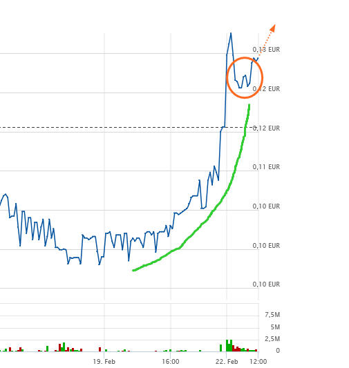 Halo Collective Inc. 1235228