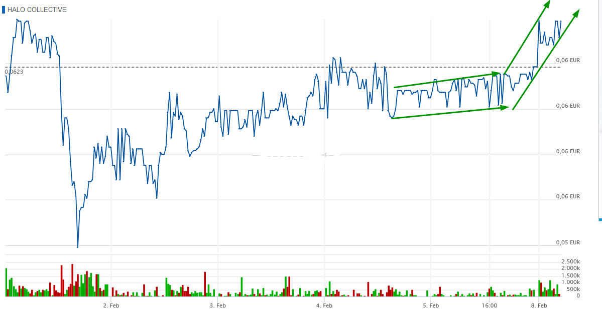Halo Collective Inc. 1231899