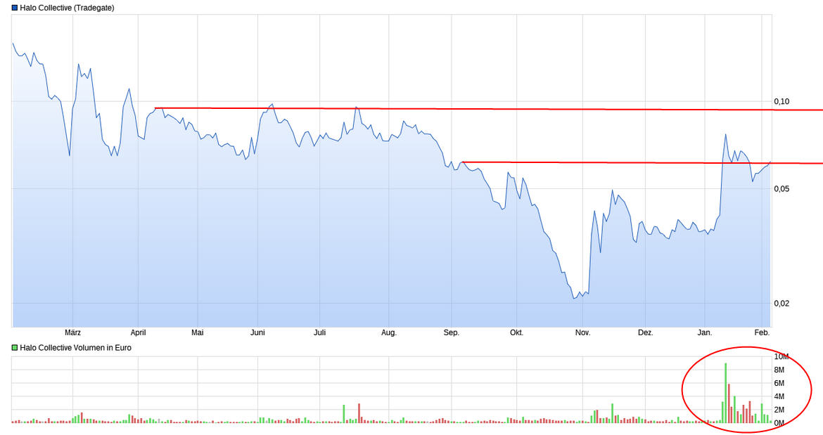 Halo Collective Inc. 1231167