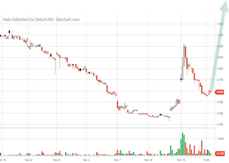 Halo nach dem Split 1305297
