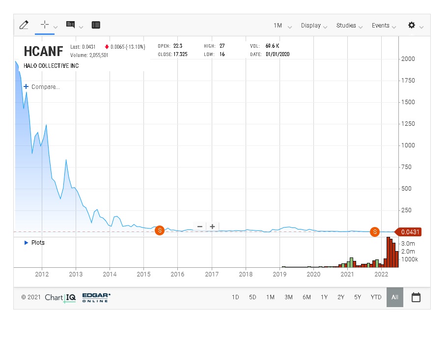 Halo Labs , Cannabis mit 600% Chance ? 1318673