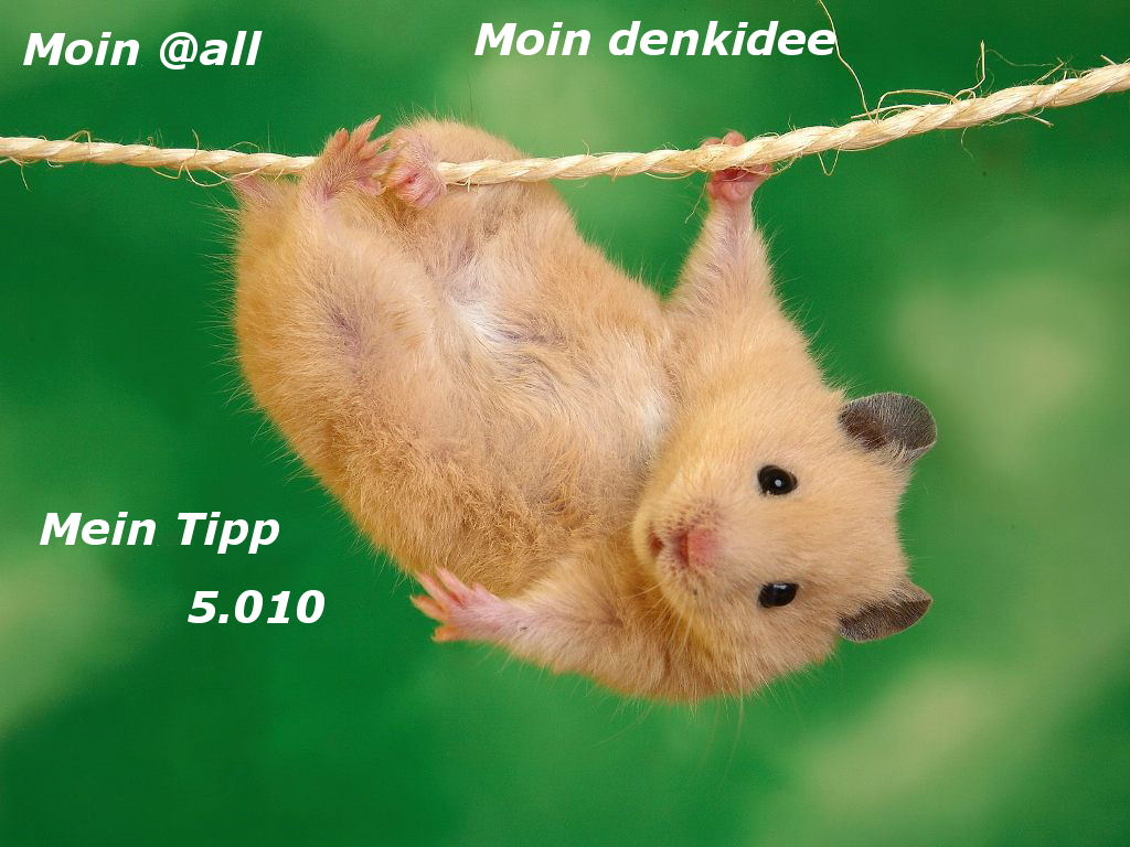 910.DAX Tipp-Spiel *Do* 06.11.08, 17.45 Uhr 197468