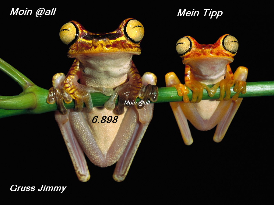 771.DAX Tipp-Spiel, Donnerstag, 24.04.08 160979