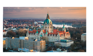 PAION Eine Fledermaus lernt wieder fliegen 1158828