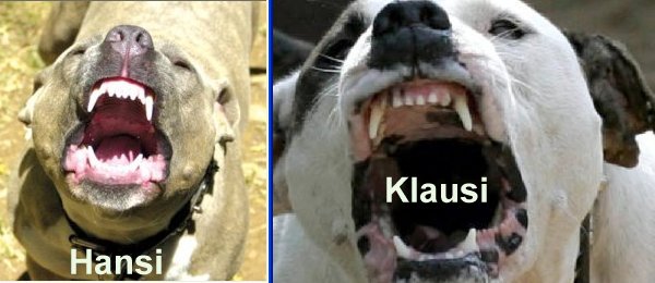 Elliott Wave DAX daily 555050