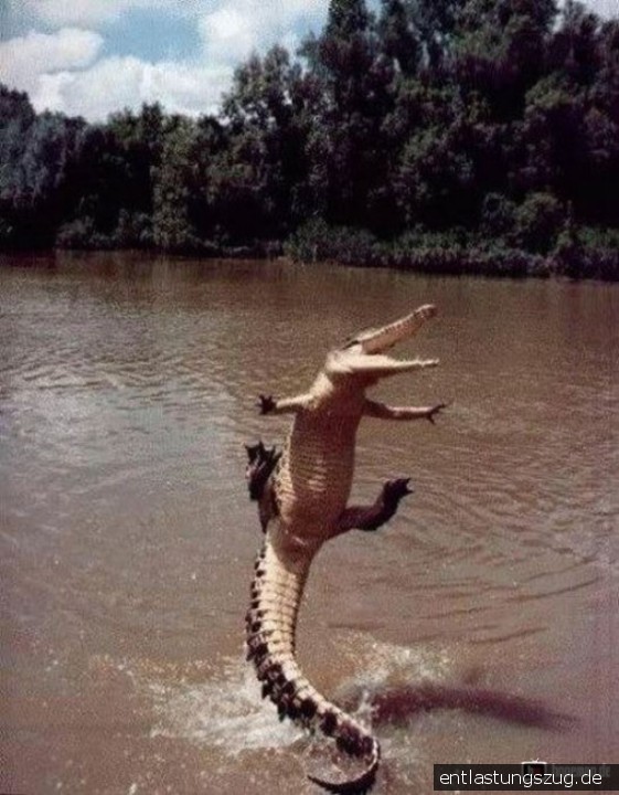 Injex AG - Wahrheit und Träumerei 568640