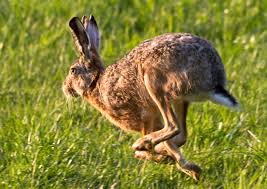 Dax 6000 keine Utopie mehr.... 1253698