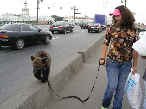 Der USA Bären-Thread 224834