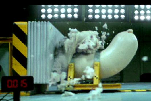 Der USA Bären-Thread 343687