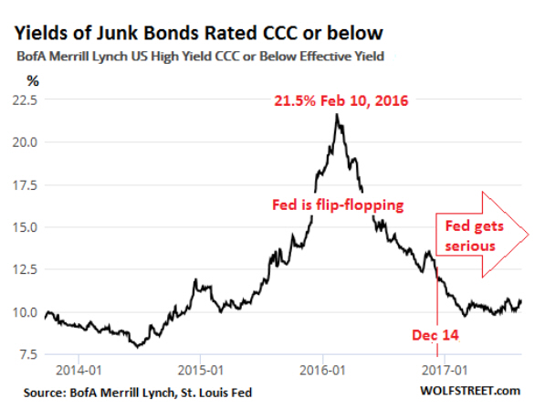 Der USA Bären-Thread 1008232