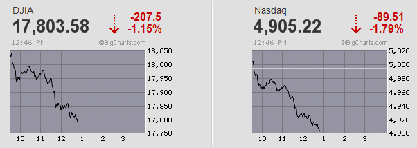 Der USA Bären-Thread 812123