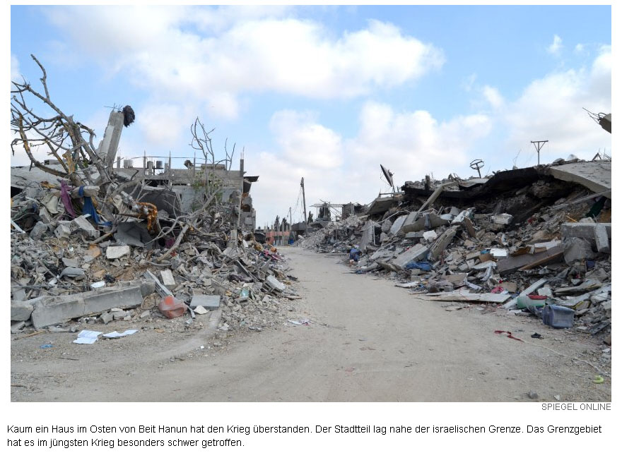 Der USA Bären-Thread 749500