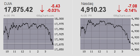 Der USA Bären-Thread 815516